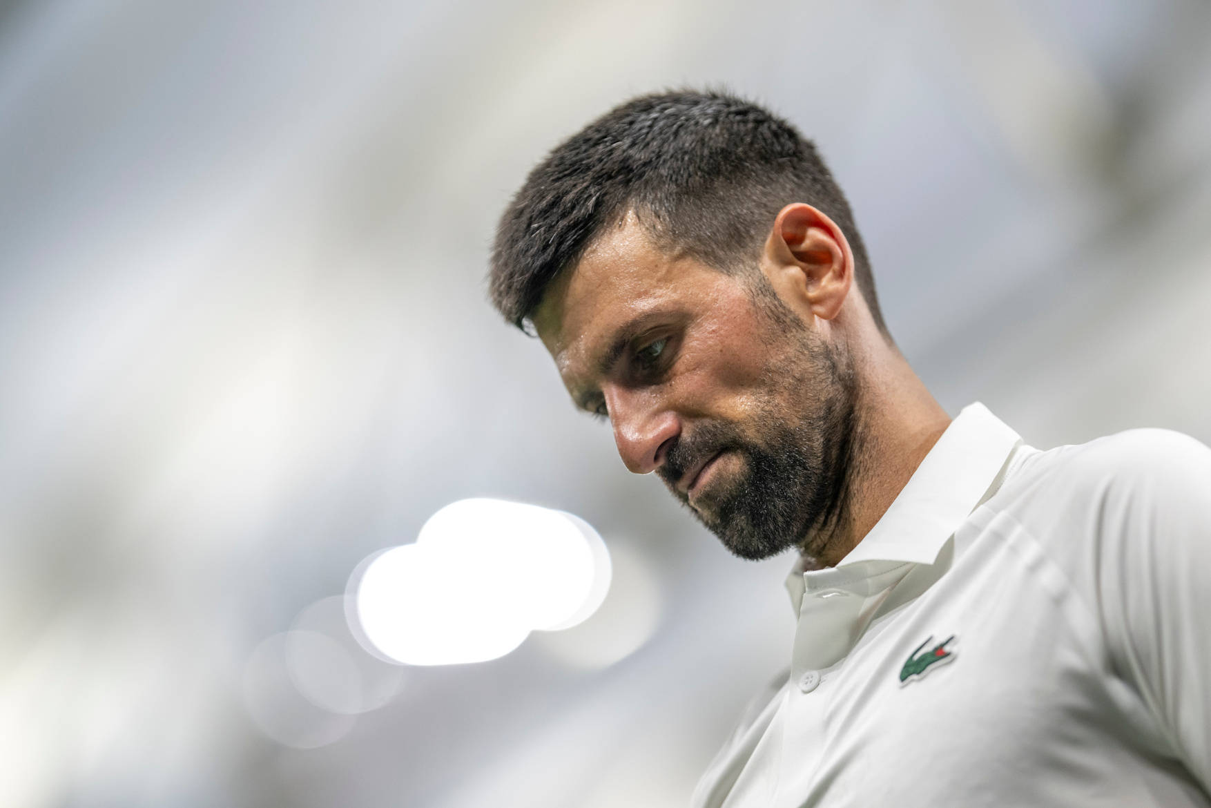 蒙特卡洛大师赛完胜戴维斯杯,德约科维奇刷新纪录 蒙特卡洛大师赛完胜戴维斯杯,德约科维奇刷新纪录