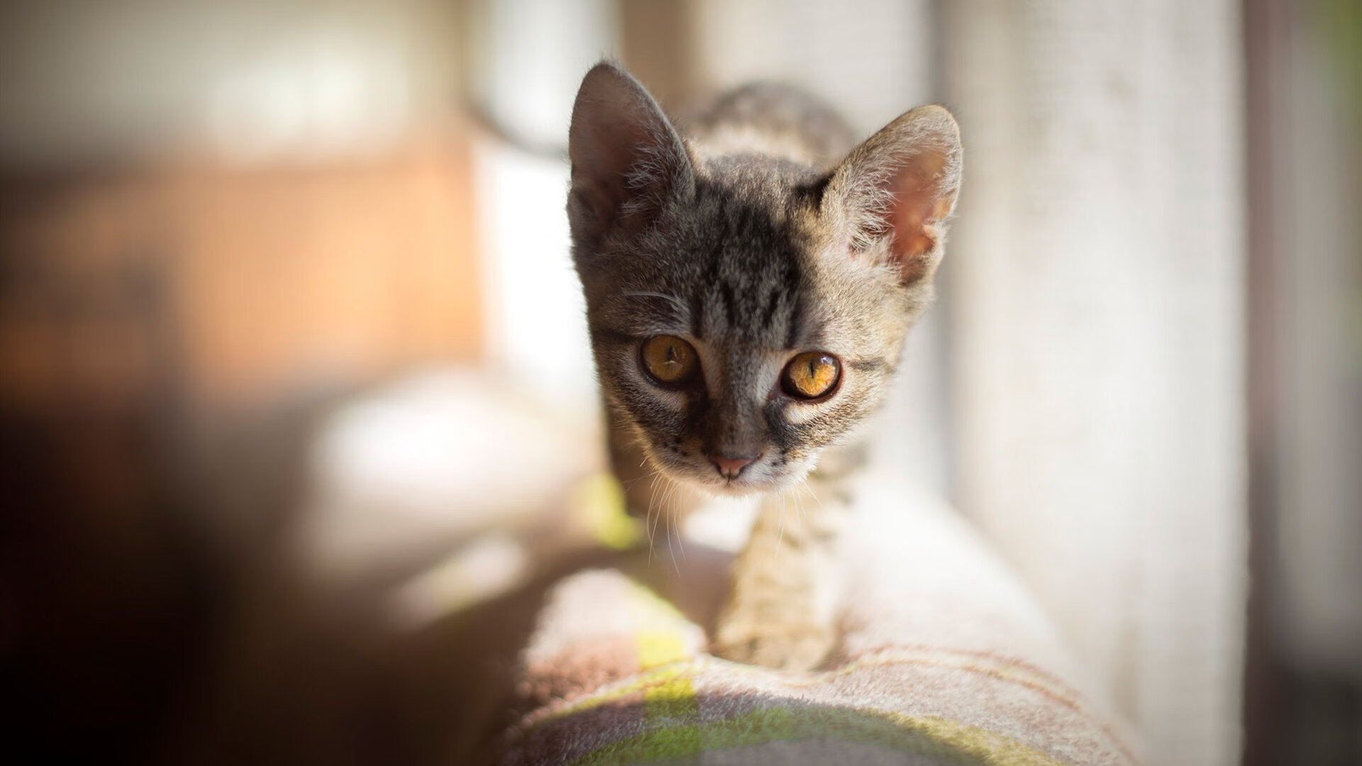 红土碾压硬地，蒙特卡洛的阳光如何让鲁德扛起全队旗帜