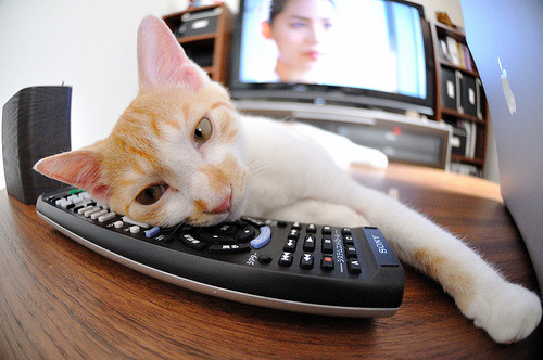 数据背后的统治者，范弗利特如何引领鹈鹕力克独行侠