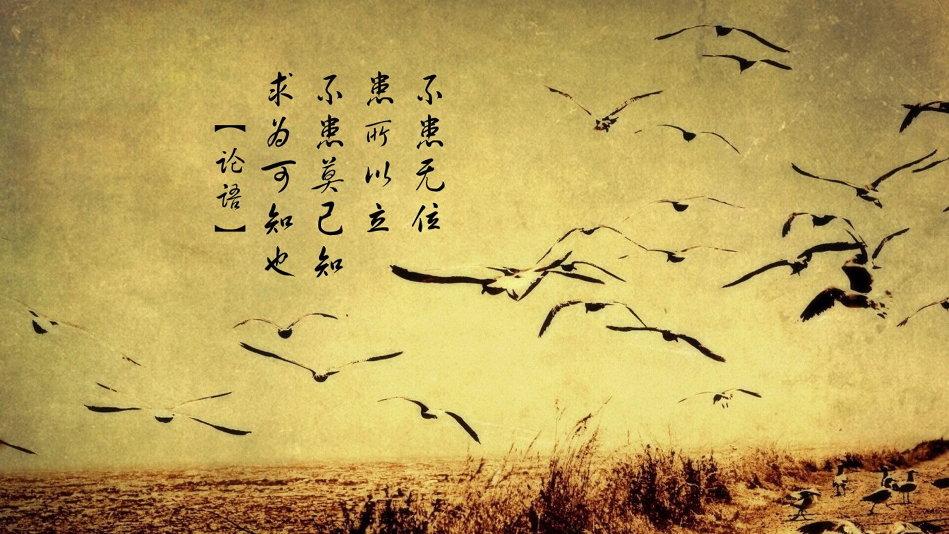 亚洲羽坛的双重奏，日本队险胜泰国，戴资颖展统治力