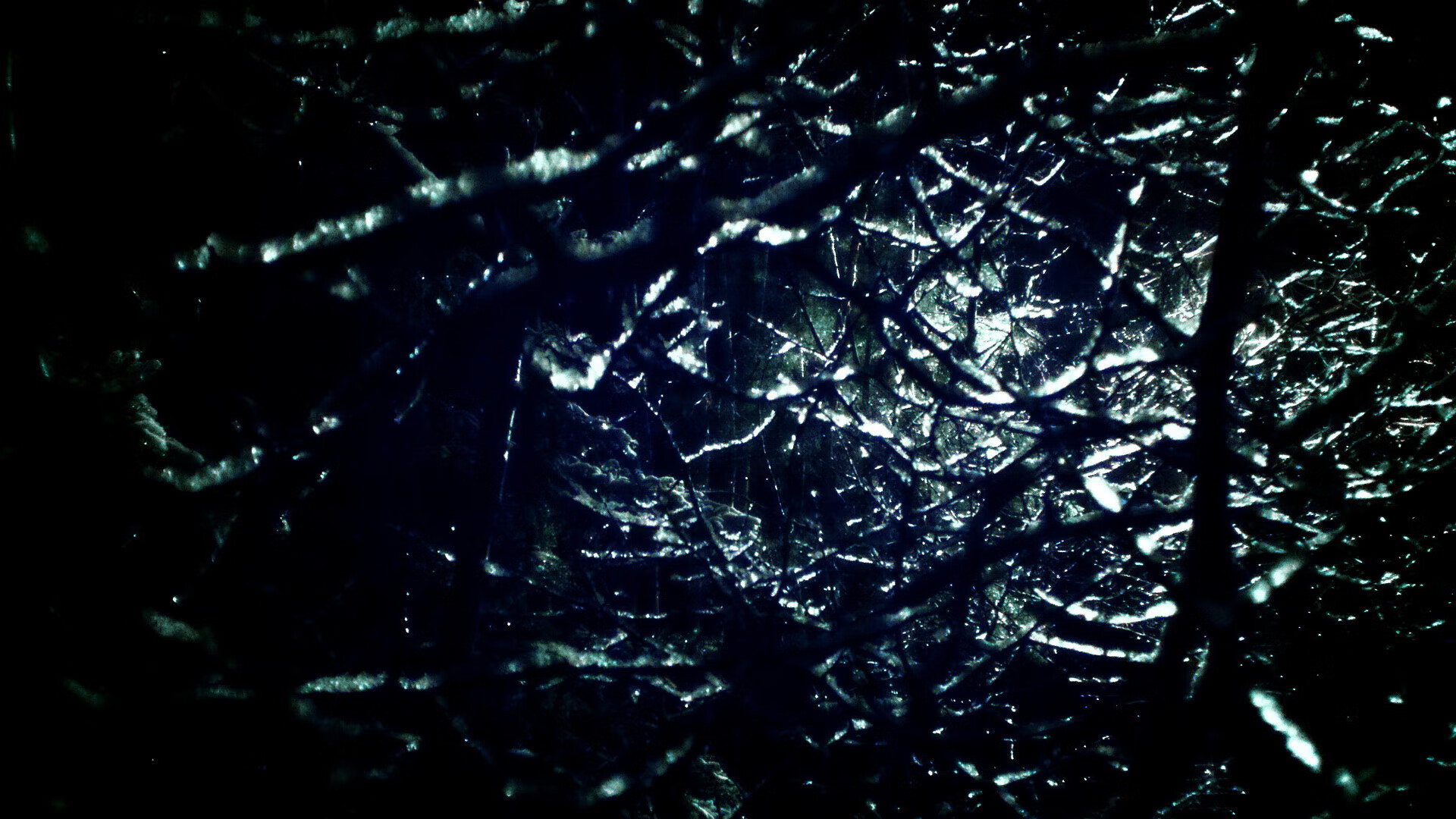 东方火焰燃爆布鲁克林，胡金秋30分率篮网降维打击太阳