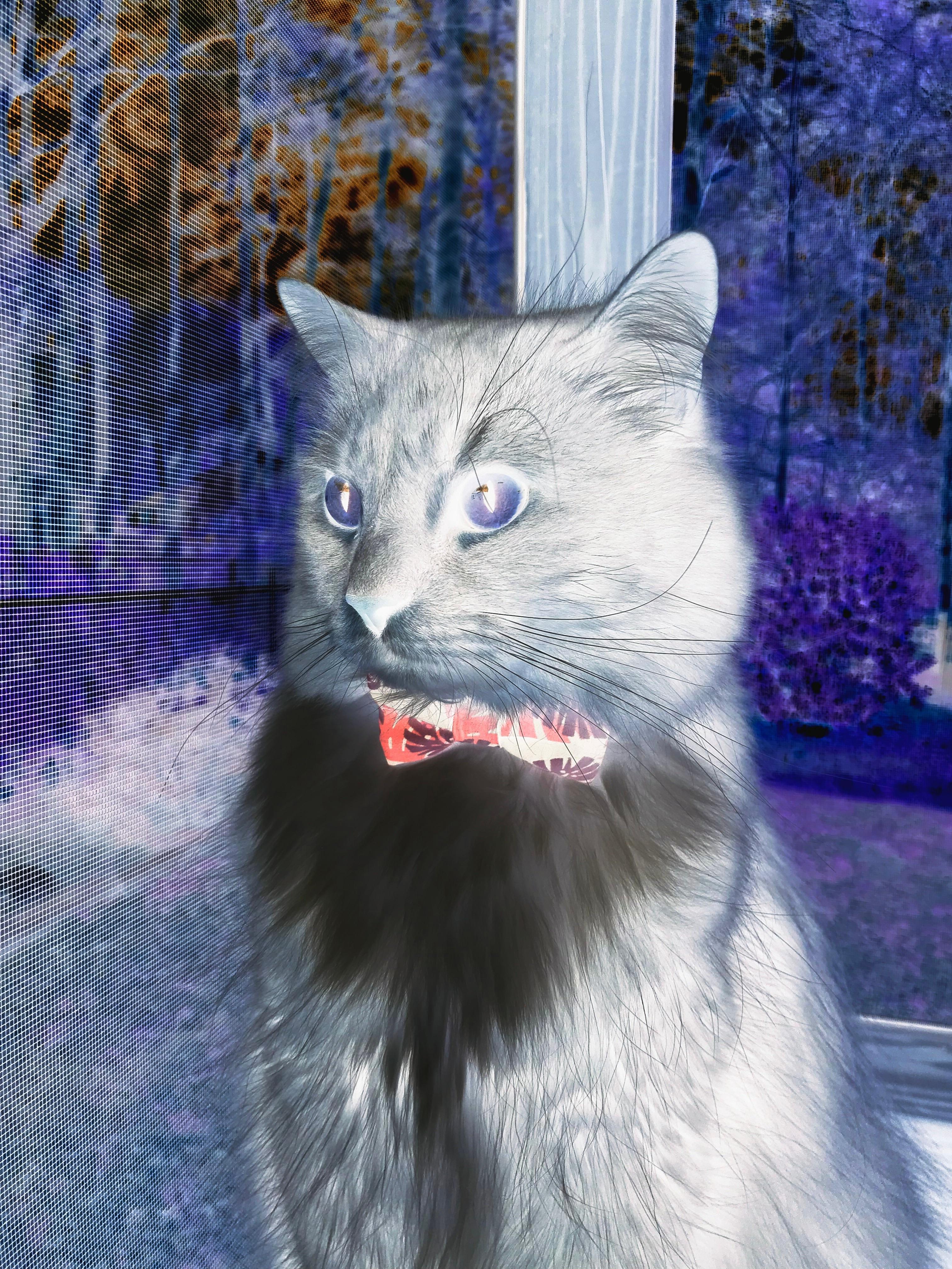 绝杀与纪元，足球世界的两极光芒