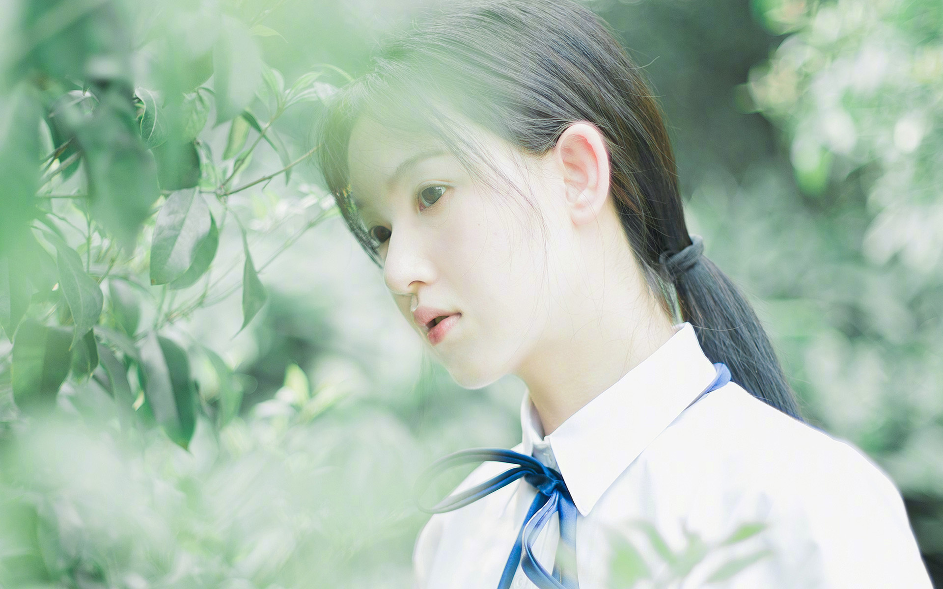 窒息攻防中诞生的孤胆英雄,福克斯生死时刻接管年度焦点战,深圳绝境逆袭山西