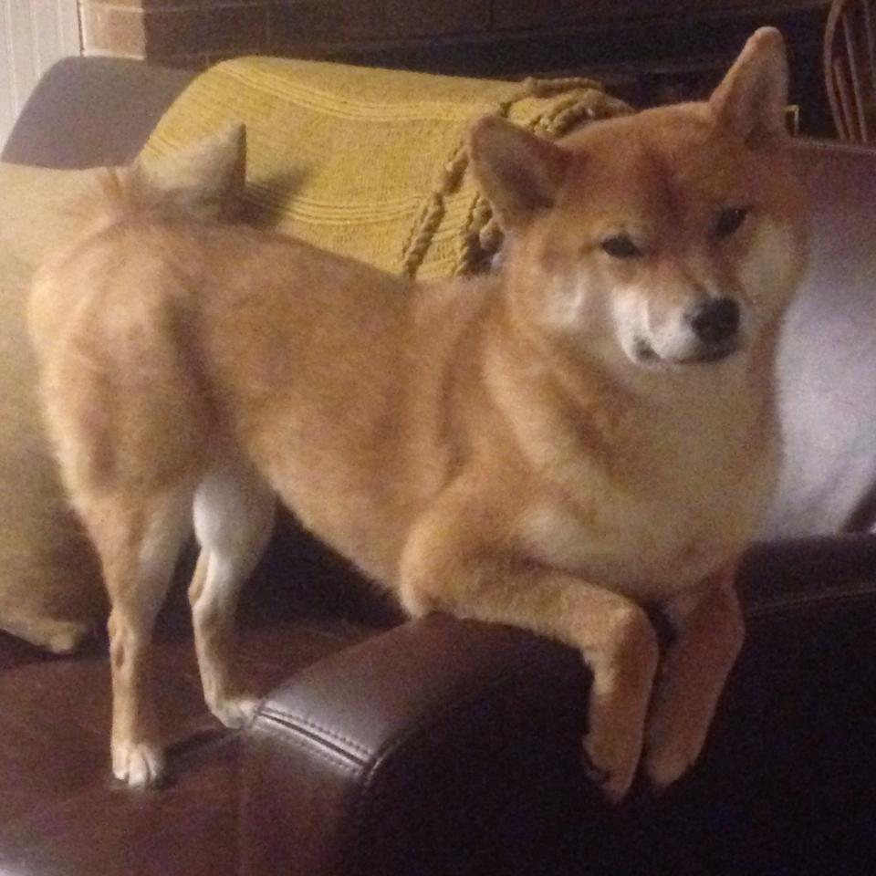 F1极速狂飙,步行者铁血封喉,新赛季的体育世界为何如此疯狂?