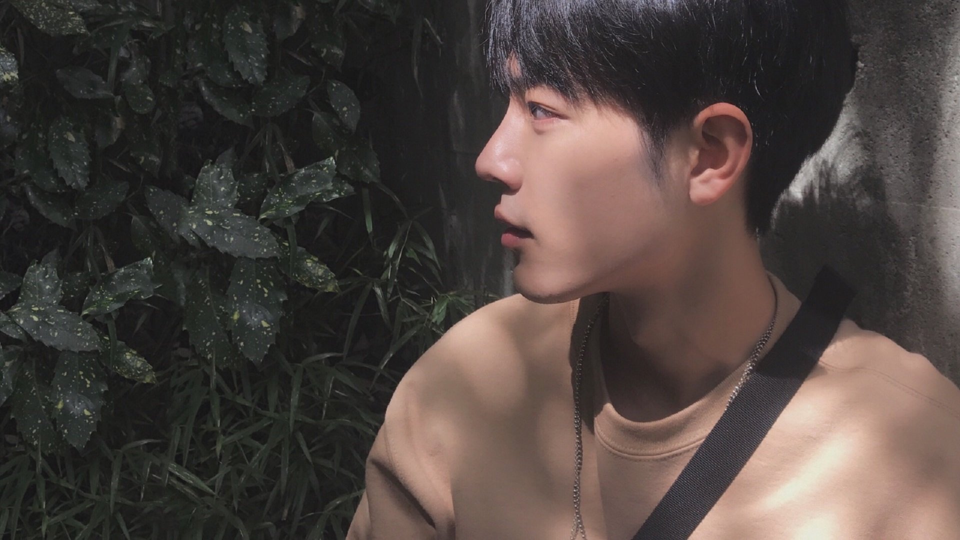 撕裂钢铁蜂巢,王冠上的钻石,拉梅洛·鲍尔致命抢断助公牛强势晋级