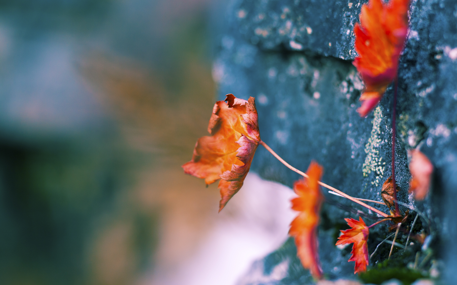 韩风与铁骑，黄喜灿惊艳伯纳乌，皇马掀翻西班牙的战术革命