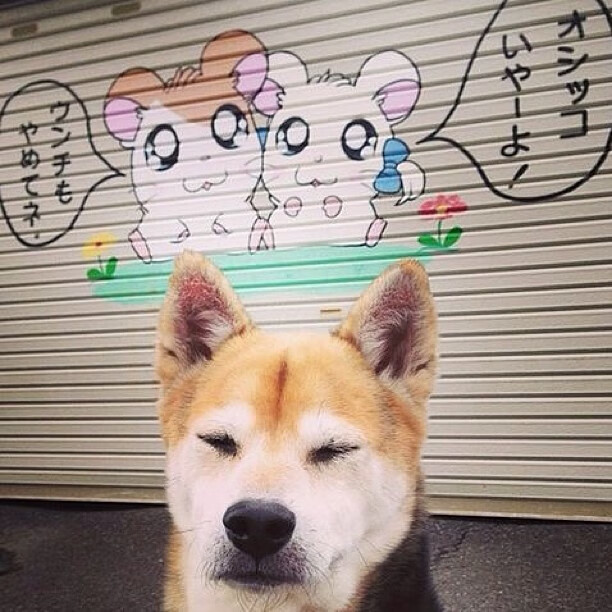 开云官网-塞内加尔横扫多特蒙德，佩德里欧冠决赛的统治时刻