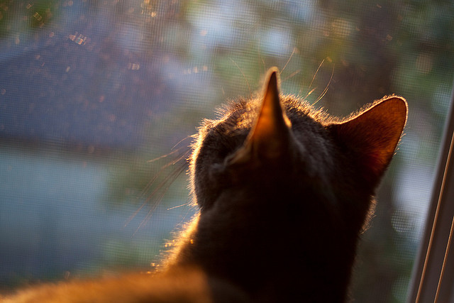 欧冠夜的神剧本,马赛绝境擒下秘鲁铁壁,拉什福德一剑封喉关键先生