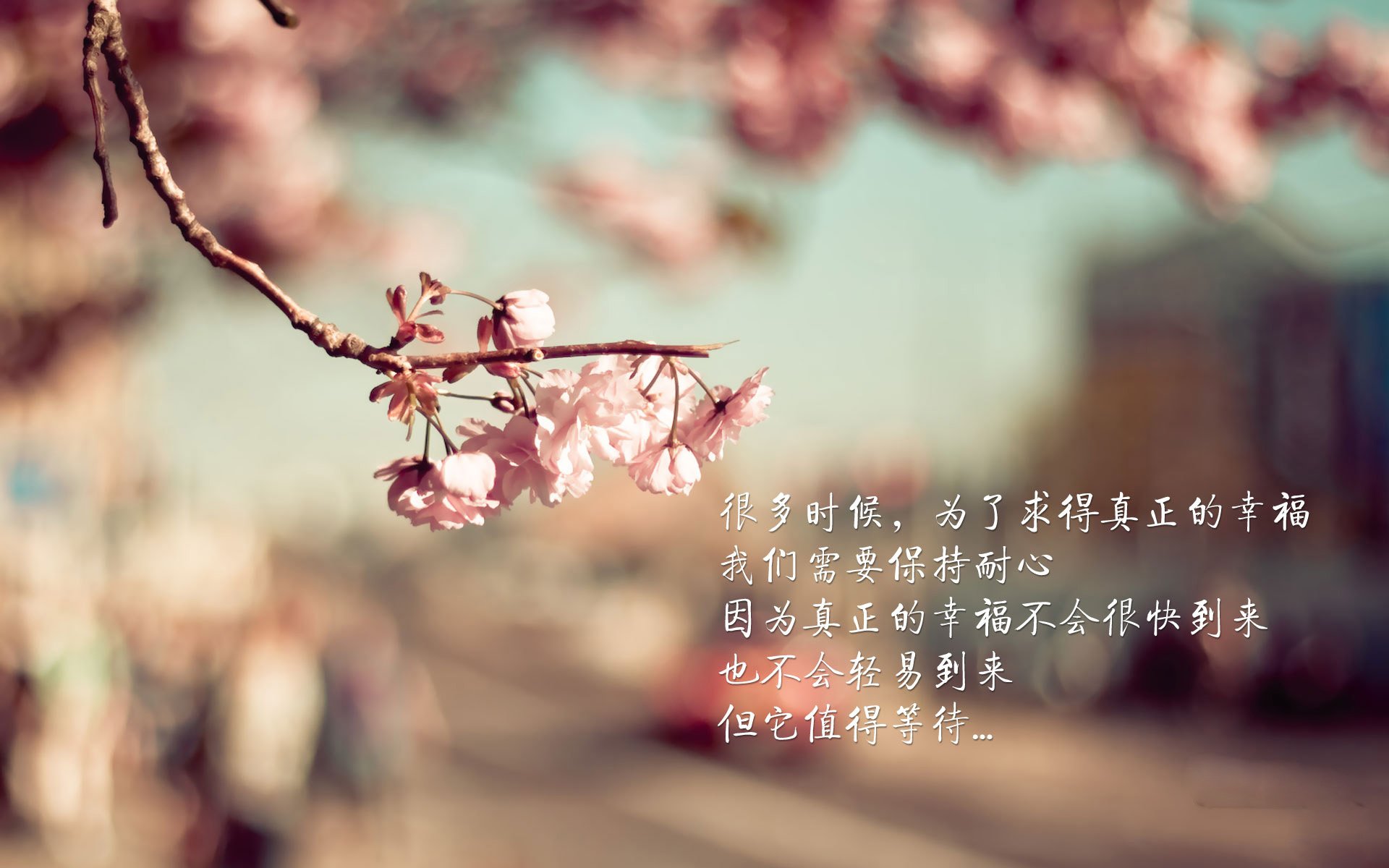 从失落到主宰，小贾伦降维打击，步行者团队篮球上演战术碾压