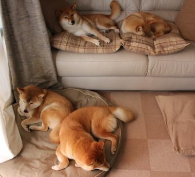 范弗利特，吉林鏖夜，唯我不掉线的系统核心